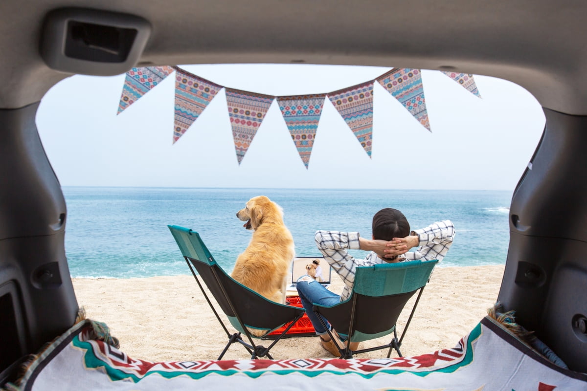 반려견과 함께하는 여행관련사진