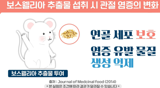 보스웰리아 플렉서