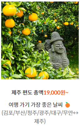 제주 항공 할인금액 안내
