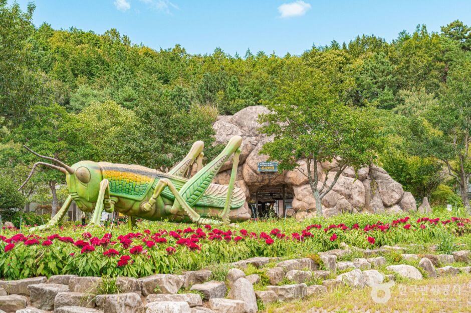 함평 가볼만한곳 베스트 10