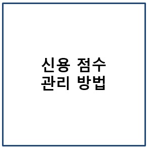 신용 점수 관리 방법