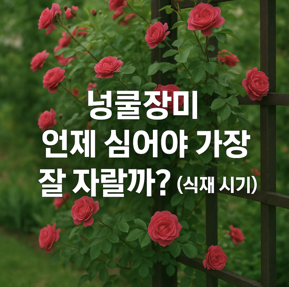 넝쿨장미 언제 심어야 가장 잘 자랄까? (식재 시기)