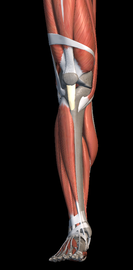 무릎 앞쪽 통증 원인 증상 치료법 알아보자
