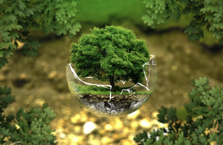 탈모의 외부요인 분석: 환경이 큰 역할 에 관련 사진