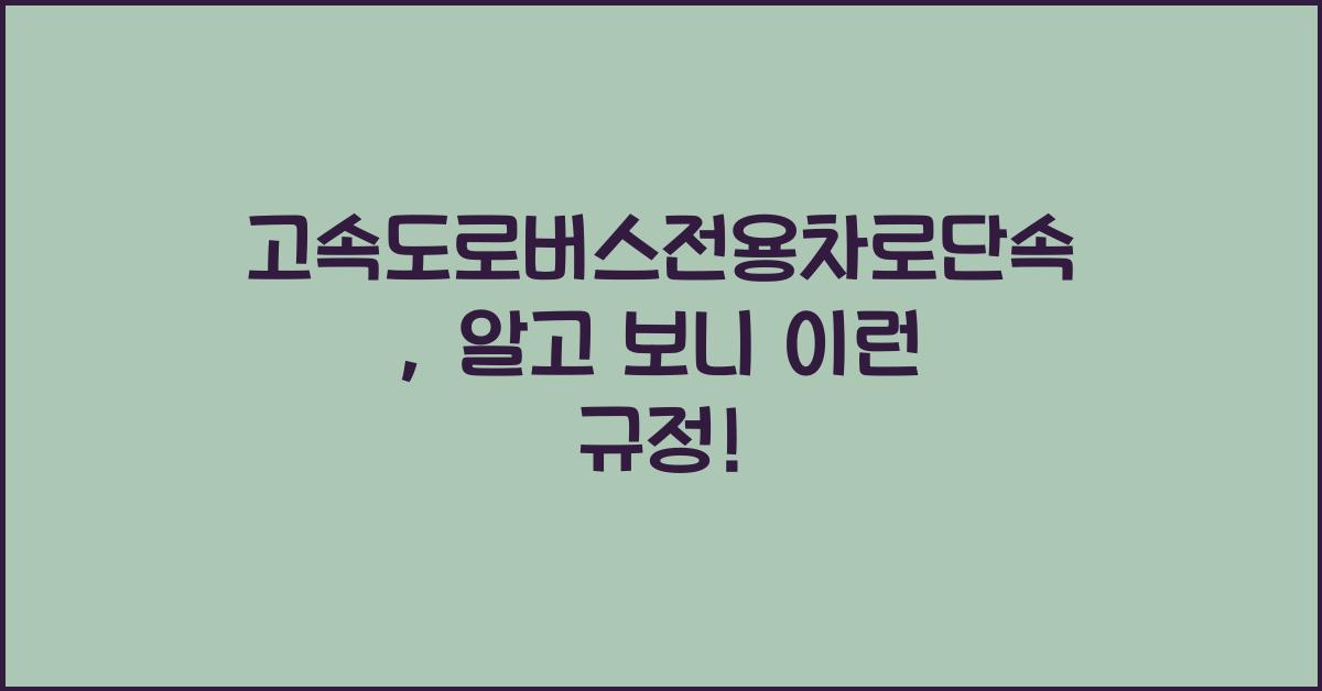 고속도로버스전용차로단속