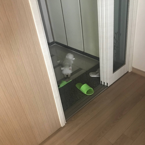 신발장_대피_꾸마