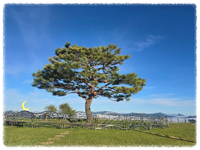 타임캡슐공원