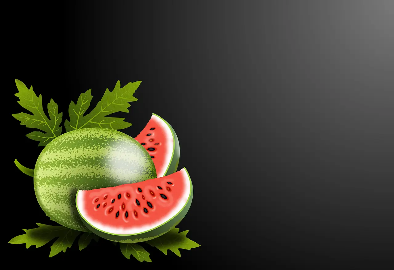 건강보험료 환급