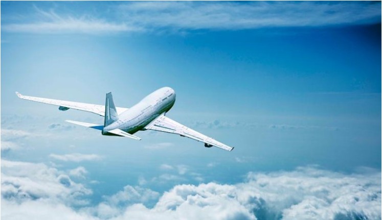 로얄 블루 마일리지[스카이패스]