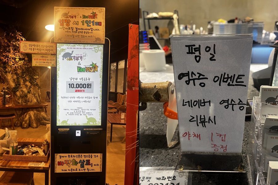 판교_거북이_카페_거부기_앤_쿠펫_판교점_가격과_평일이벤트