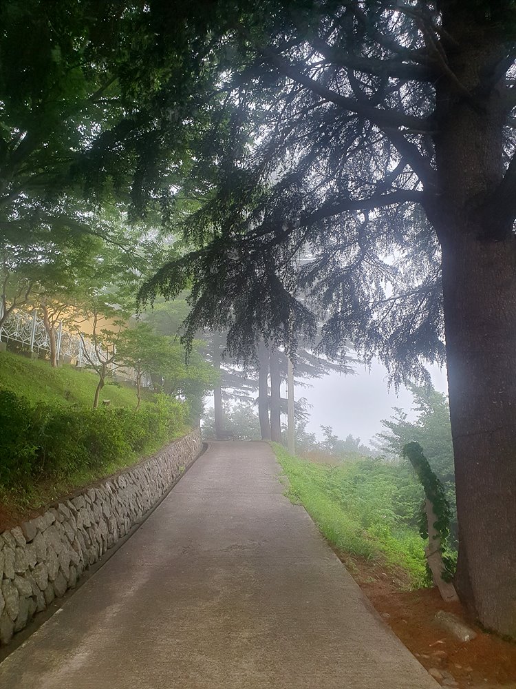 20240713_060953.jpg