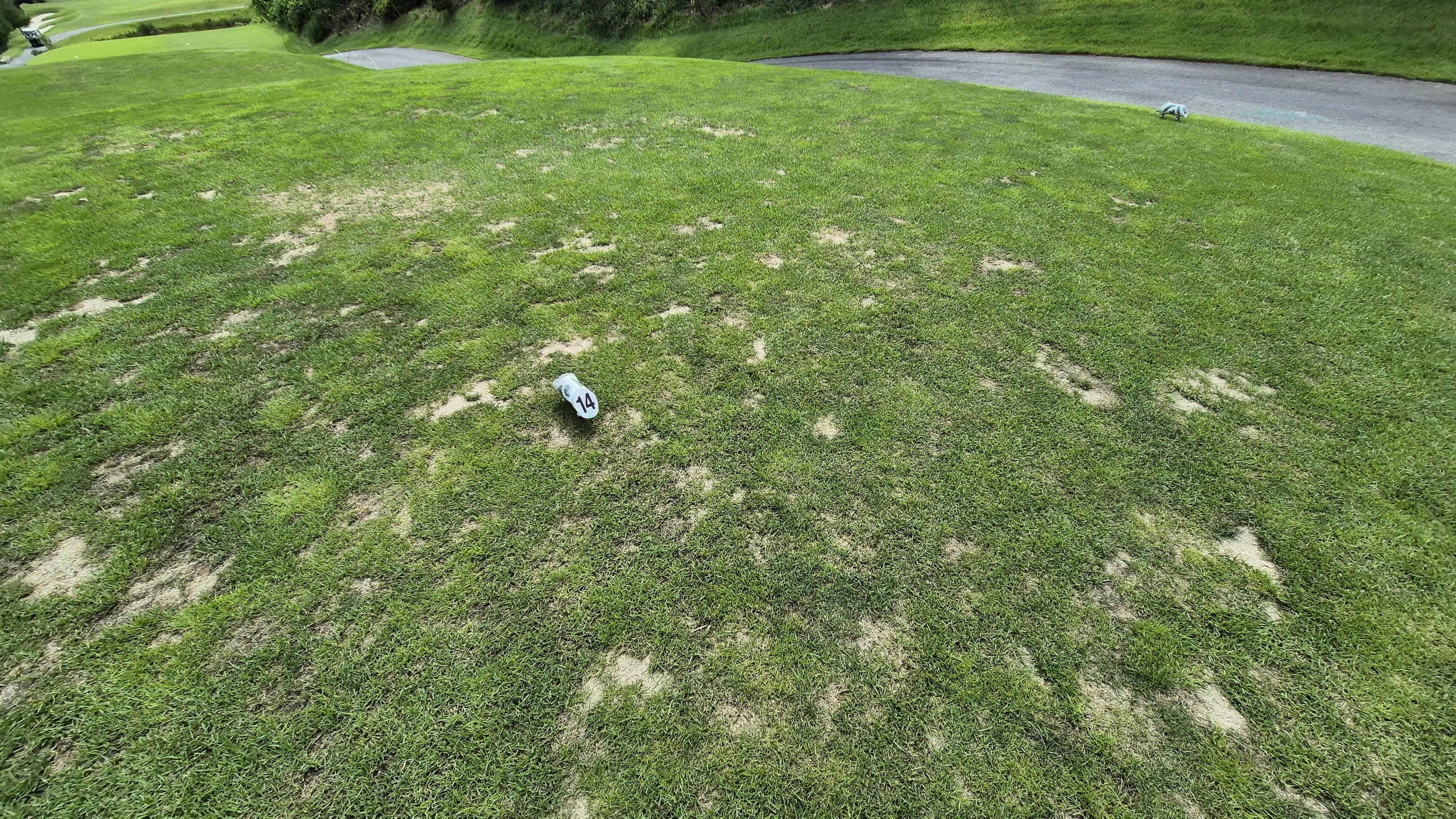 세일cc 들길-산길 코스 라운드 후기