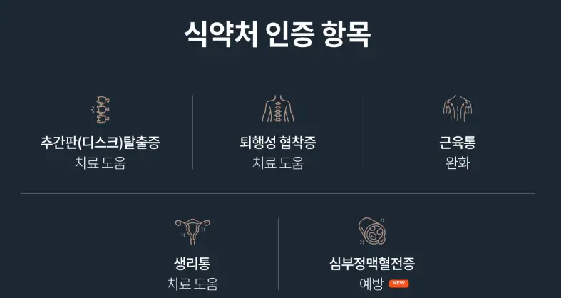 세라짐 마스터 V9 식약처 인증