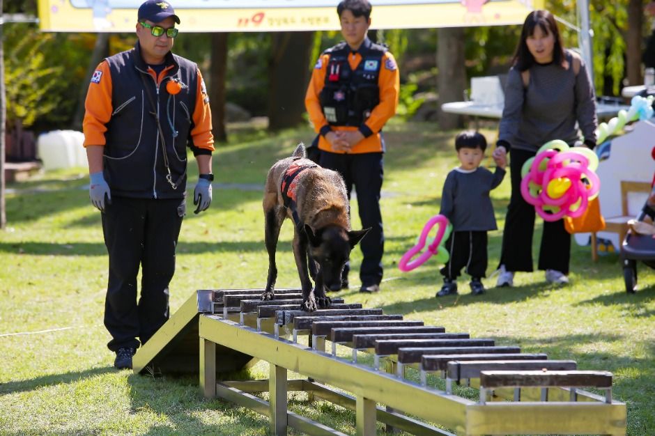 &ldquo;안아드림페스티벌 2025 &ndash; 경북 천년숲에서 가족 안전체험! (최강 어린이 소방관&middot;소방견 퍼포먼스 총정리)&rdquo;