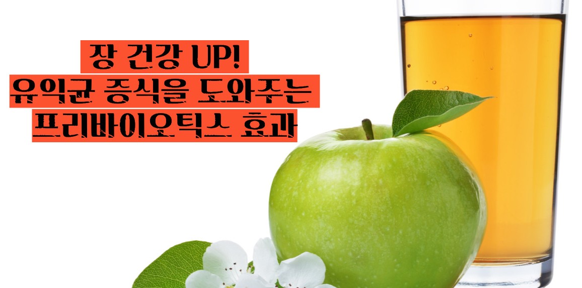 애사비 식초 효능