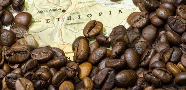 에티오피아 커피
