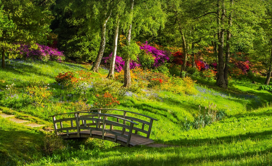 다리 공원 ,잔디