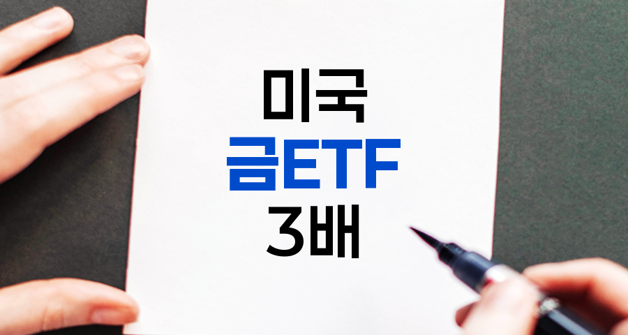 미국 금 ETF 3배 레버리지 투자 전략과 위험성