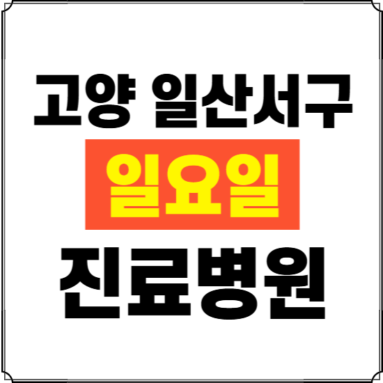 고양시 일산서구 일요일 진료병원 찾기 ❘ 24시 휴일 주말 응급 야간 심야 문여는 병원