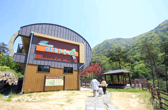 숲속 건물앞에 어른2명과 아이1명이 걸어가고 있다.