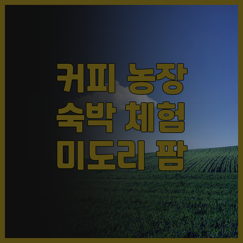 미도리 커피 팜.. 커피 농장 체험과