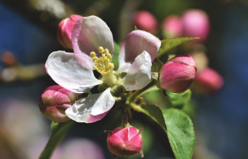 화담숲-예약하기