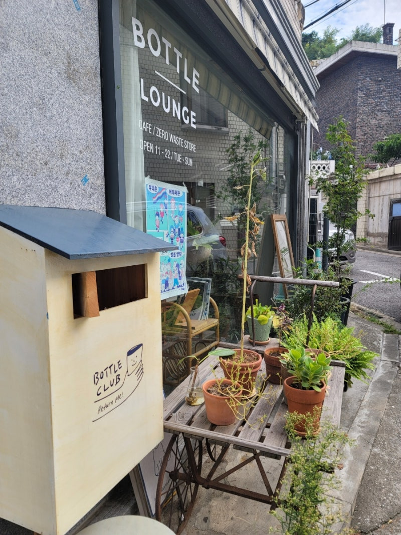 서울·근교 강아지와 함께 갈 수 있는 펫카페 추천 & 방문 꿀팁 총정리