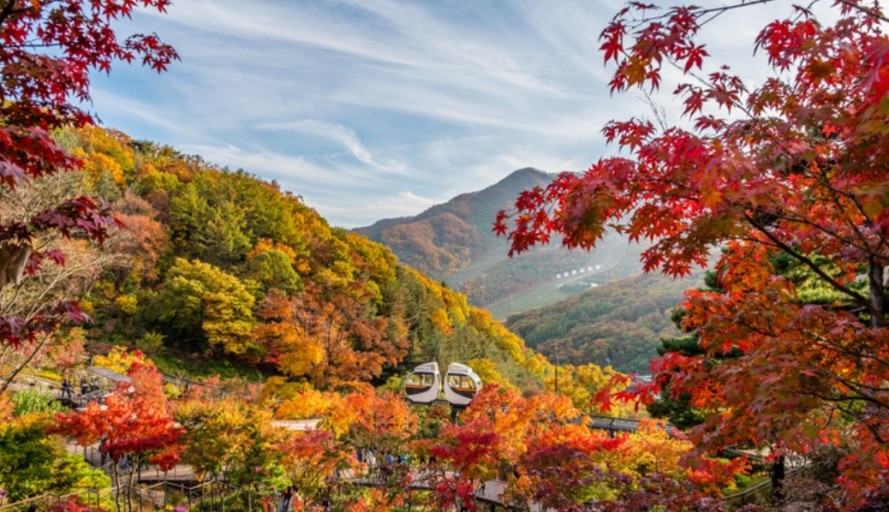 화담숲