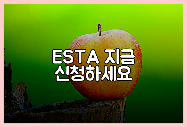 ESTA 지금 신청하세요