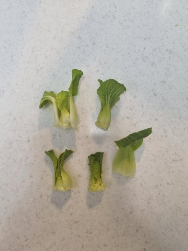 마트에서 산 청경채 1