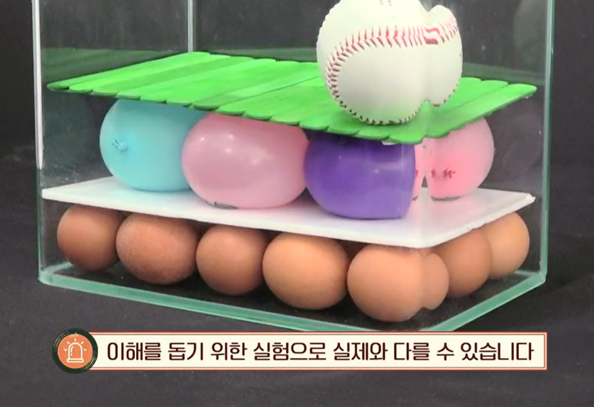 콘드로이친 효능