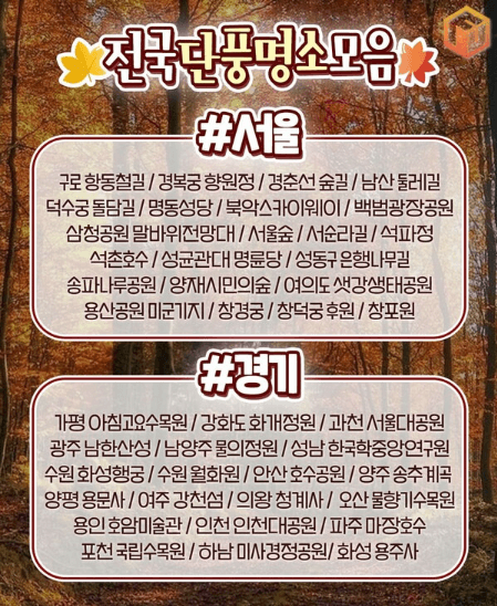 2024 단풍절정시기 지도 명소 설악산 축제 가을 지역별 시기 정보 화담숲 단풍