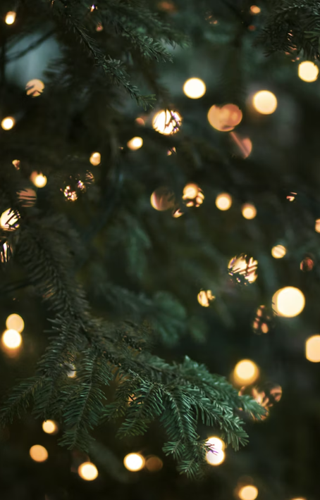 2025 한강겨울축제 로맨틱 한강 크리스마스 마켓&amp;#44; 봄ON한강&amp;#44; 한강바람축제