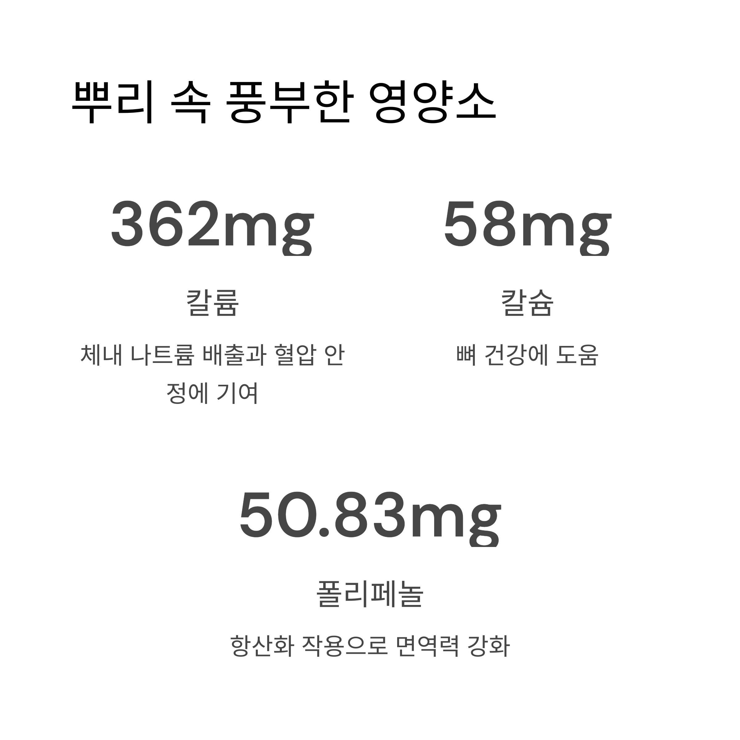 뿌리 속 풍부한 영양소