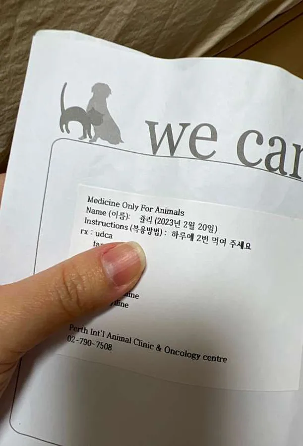 퍼스동물병원