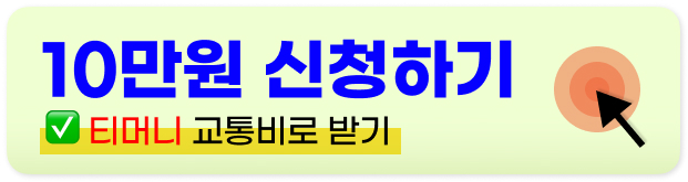 서울 청년 대중교통비