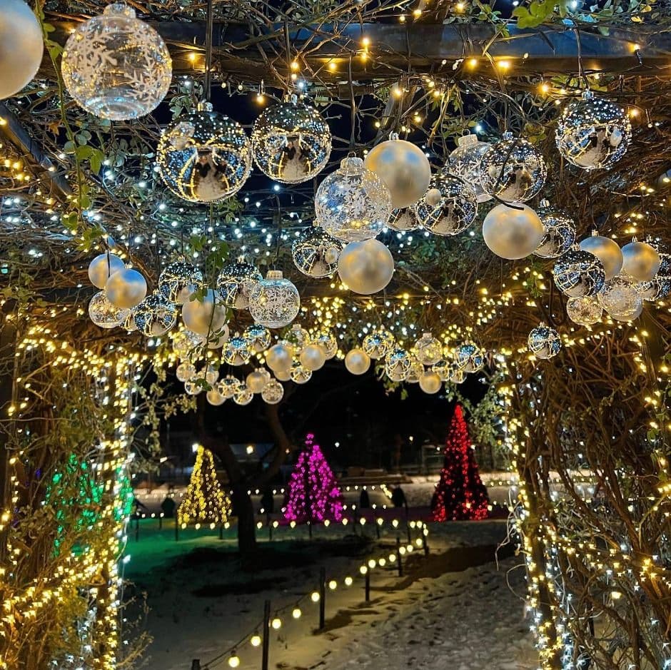 [서울 근교 여행지]산들소리 수목원 &amp; 낭만등불축제 후기