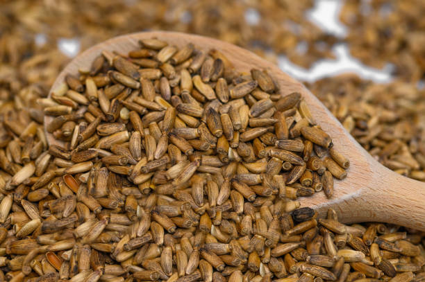 좋은 밀크씨슬 고르는 법