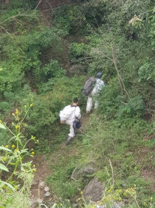 최문보 교수 프로필