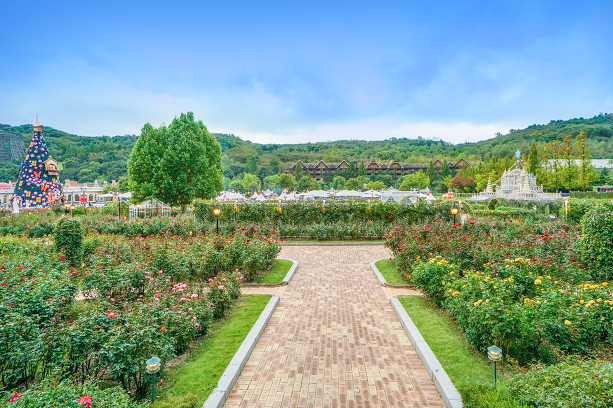 에버랜드 연간회원권