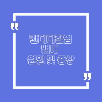 칸디다질염 냄새