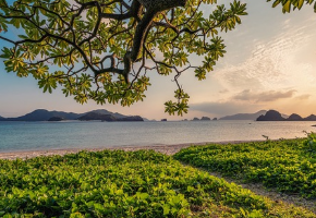 [기미&middot;잡티 고민 끝] 트라넥삼산 선크림 효능과 부작용 총정리!