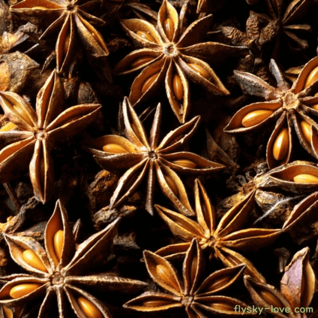 스타아니스 효능