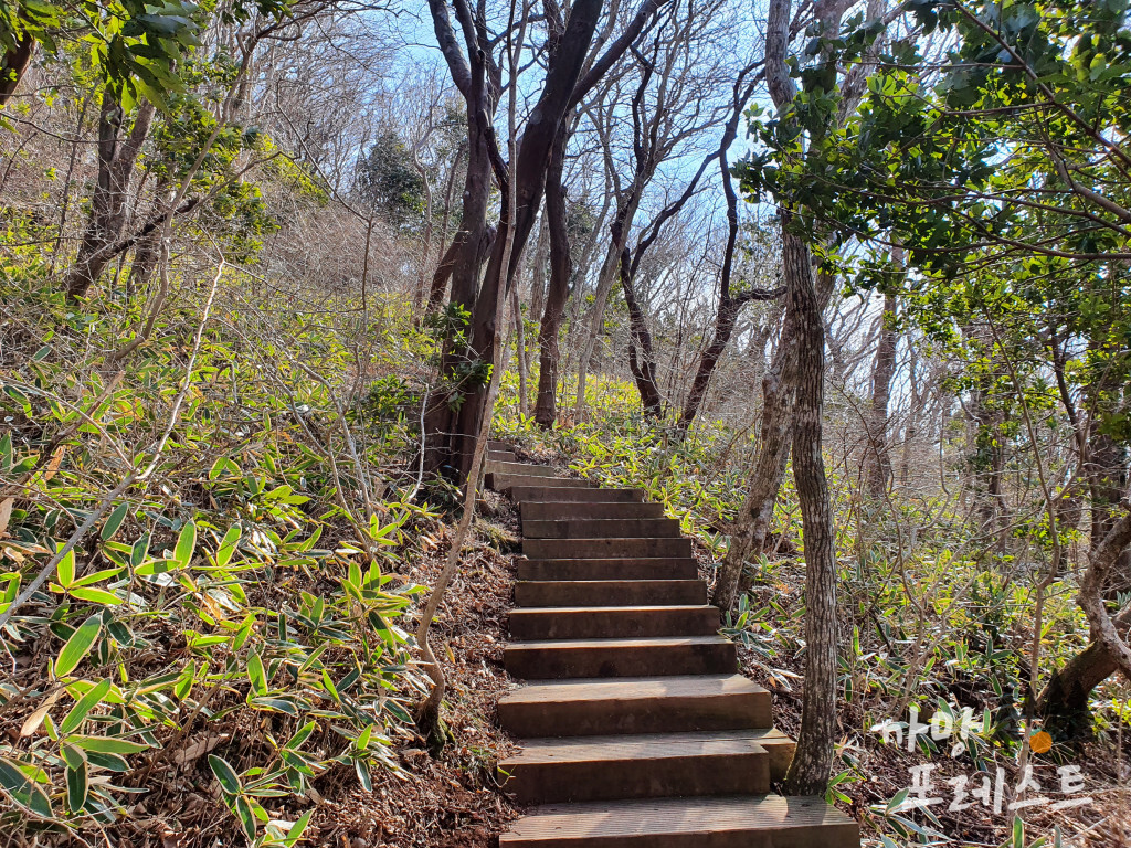 붉은 오름 탐방로