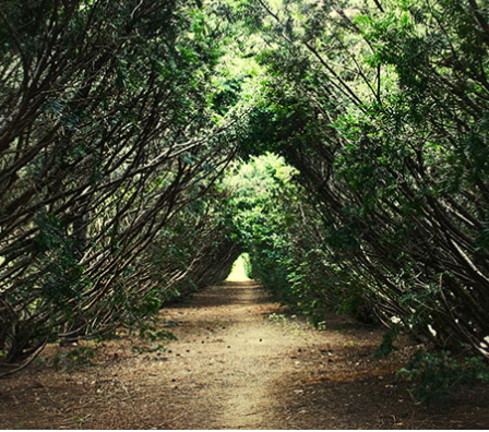 벽초지 수목원 사진