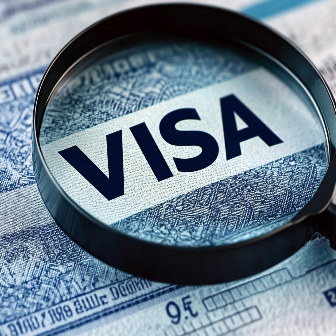 해외여행 비자정보 관련 사진