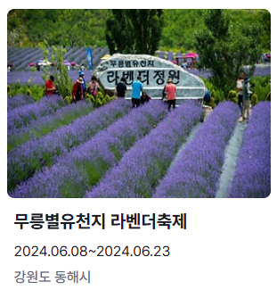 무릉별유천지 라벤더축제
