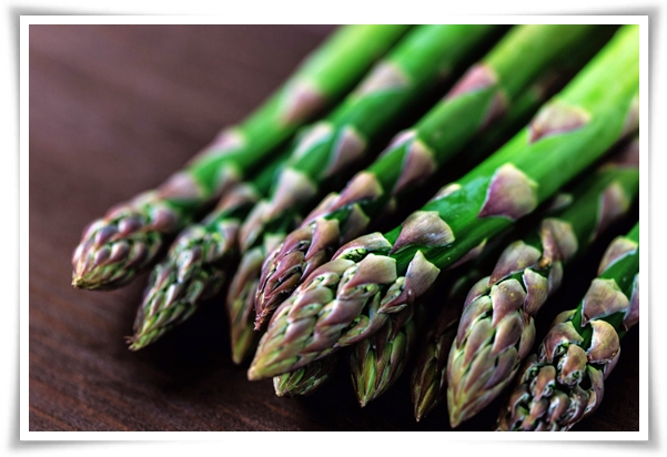 텃밭 "아스파라거스 기르기" 한 번 심으면 10년 동안 거두는 황금 채소!
