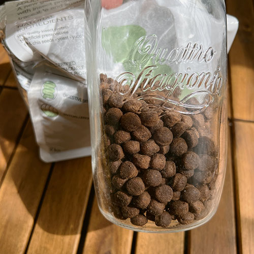 엔토벳-인섹트-사료