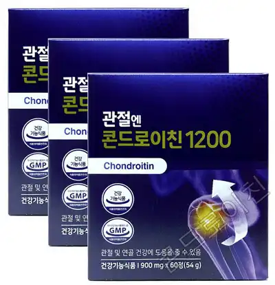 콘드로이친 1200mg